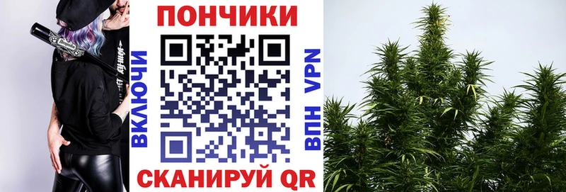 наркошоп hydra ссылка Марихуана гибрид Оленегорск